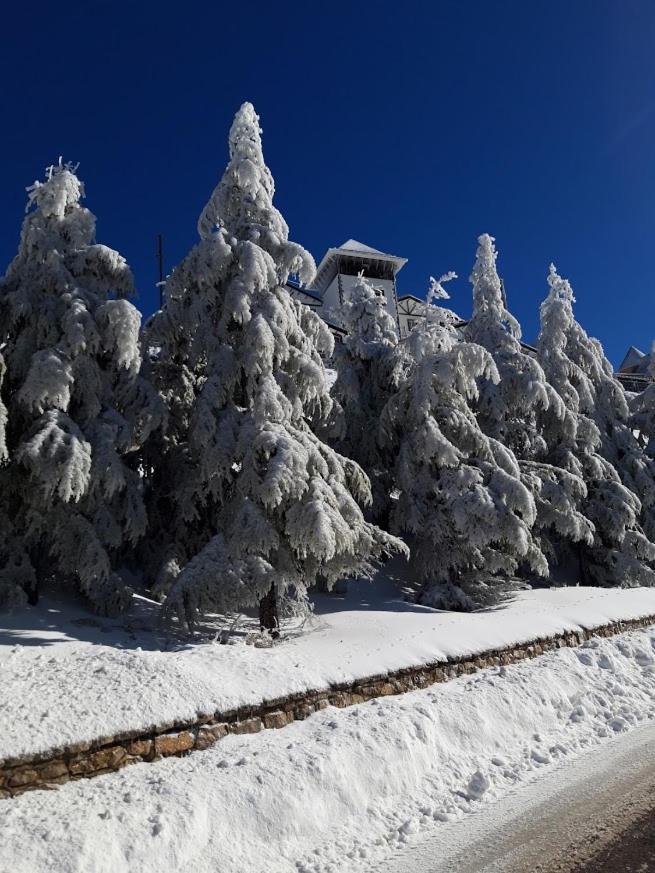 Los Valles Con Vistas Sierra Nevada Ngoại thất bức ảnh